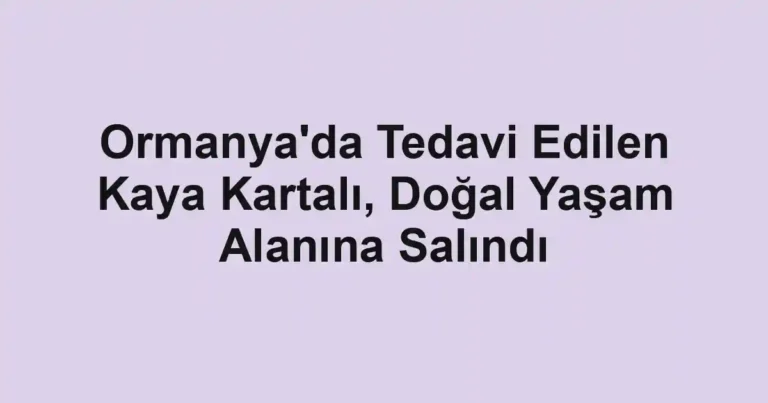 Ormanya'da Tedavi Edilen Kaya Kartalı, Doğal Yaşam Alanına Salındı