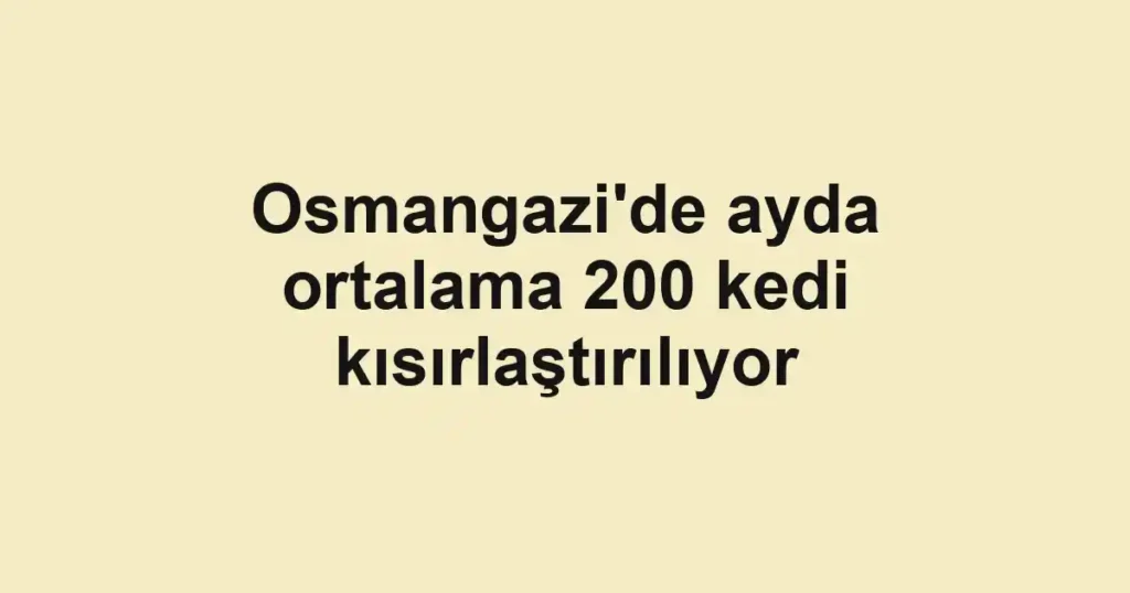 Osmangazi'de ayda ortalama 200 kedi kısırlaştırılıyor
