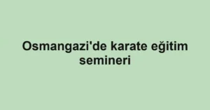Osmangazi'de karate eğitim semineri