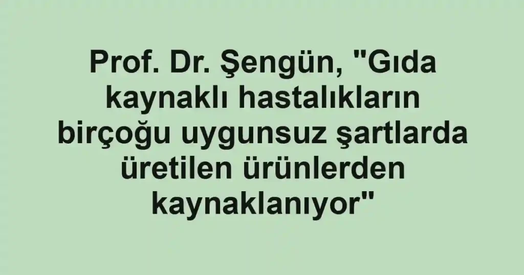 Prof. Dr. Şengün, "Gıda kaynaklı hastalıkların birçoğu uygunsuz şartlarda üretilen ürünlerden kaynaklanıyor"