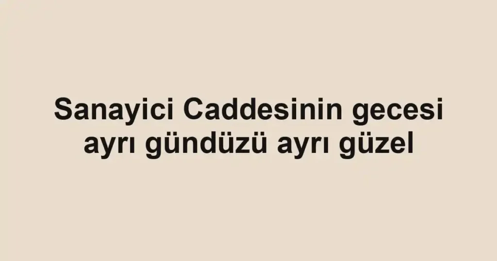Sanayici Caddesinin gecesi ayrı gündüzü ayrı güzel