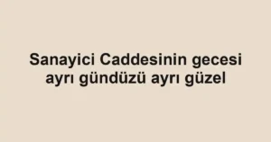 Sanayici Caddesinin gecesi ayrı gündüzü ayrı güzel