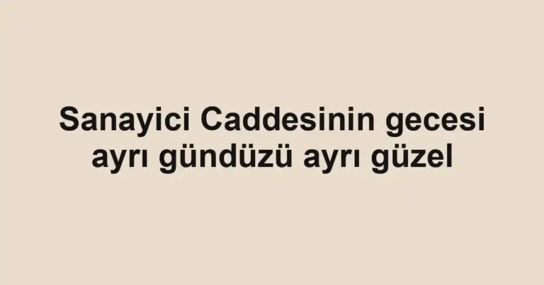 Sanayici Caddesinin gecesi ayrı gündüzü ayrı güzel