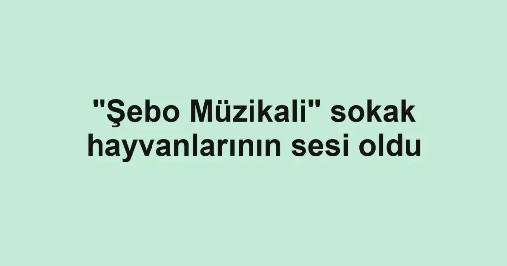 "Şebo Müzikali" sokak hayvanlarının sesi oldu
