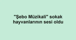 "Şebo Müzikali" sokak hayvanlarının sesi oldu