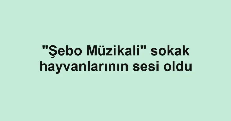 "Şebo Müzikali" sokak hayvanlarının sesi oldu
