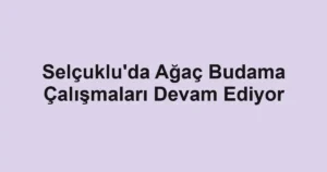 Selçuklu'da Ağaç Budama Çalışmaları Devam Ediyor
