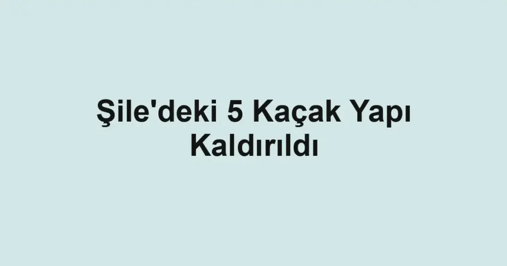 Şile'deki 5 Kaçak Yapı Kaldırıldı