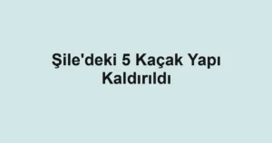 Şile'deki 5 Kaçak Yapı Kaldırıldı