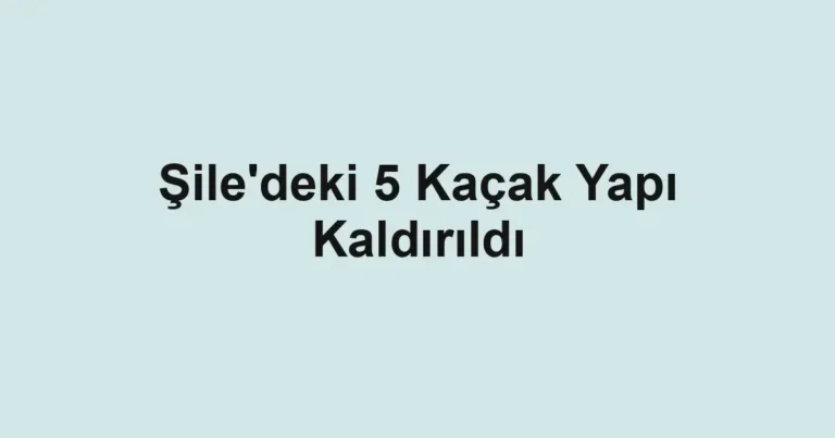 Şile'deki 5 Kaçak Yapı Kaldırıldı