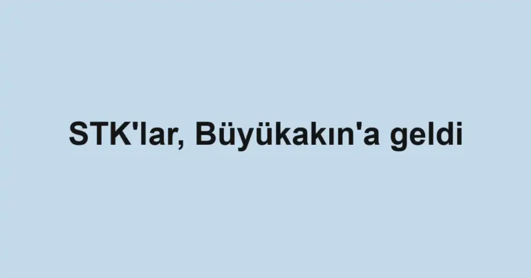 STK'lar, Büyükakın'a geldi