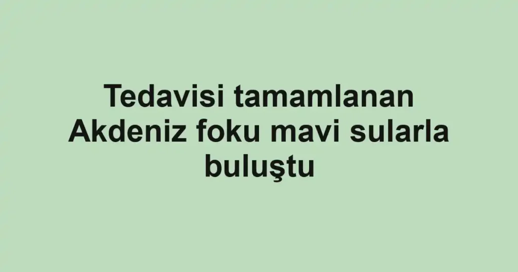 Tedavisi tamamlanan Akdeniz foku mavi sularla buluştu