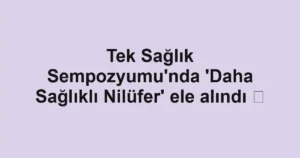 Tek Sağlık Sempozyumu'nda 'Daha Sağlıklı Nilüfer' ele alındı  