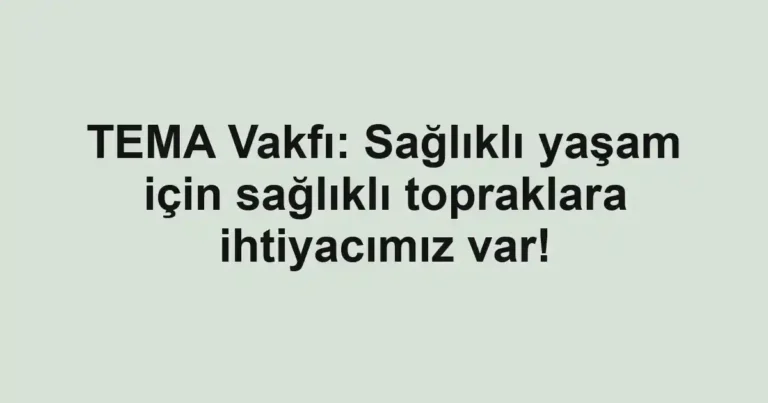 TEMA Vakfı: Sağlıklı yaşam için sağlıklı topraklara ihtiyacımız var!