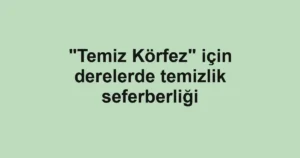 "Temiz Körfez" için derelerde temizlik seferberliği
