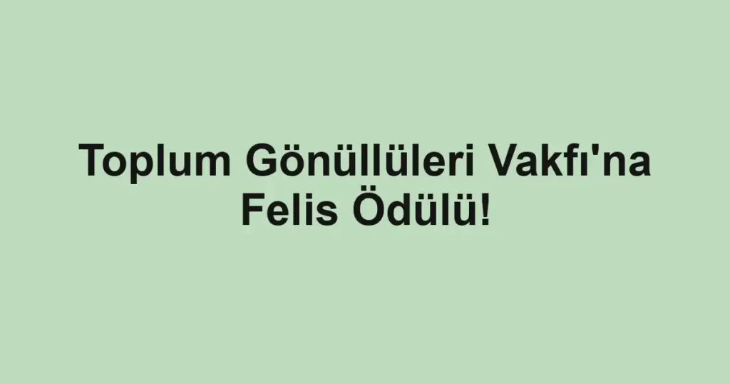 Toplum Gönüllüleri Vakfı'na Felis Ödülü!