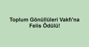 Toplum Gönüllüleri Vakfı'na Felis Ödülü!
