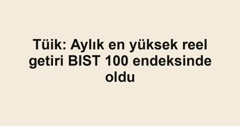 Tüik: Aylık en yüksek reel getiri BIST 100 endeksinde oldu