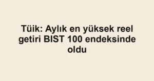 Tüik: Aylık en yüksek reel getiri BIST 100 endeksinde oldu