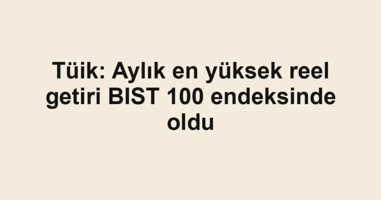 Tüik: Aylık en yüksek reel getiri BIST 100 endeksinde oldu