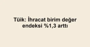 Tüik: İhracat birim değer endeksi %1,3 arttı