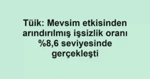 Tüik: Mevsim etkisinden arındırılmış işsizlik oranı %8,6 seviyesinde gerçekleşti
