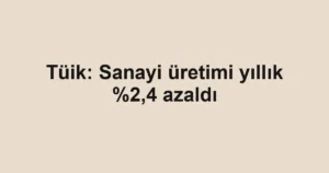 Tüik: Sanayi üretimi yıllık %2,4 azaldı