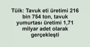 Tüik: Tavuk eti üretimi 216 bin 754 ton, tavuk yumurtası üretimi 1,71 milyar adet olarak gerçekleşti