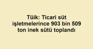 Tüik: Ticari süt işletmelerince 903 bin 509 ton inek sütü toplandı