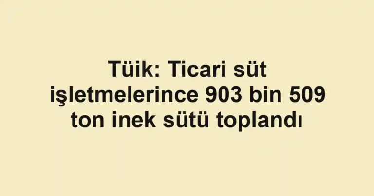 Tüik: Ticari süt işletmelerince 903 bin 509 ton inek sütü toplandı