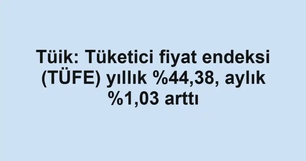 Tüik: Tüketici fiyat endeksi (TÜFE) yıllık ,38, aylık %1,03 arttı