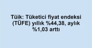 Tüik: Tüketici fiyat endeksi (TÜFE) yıllık ,38, aylık %1,03 arttı