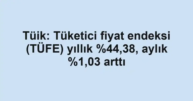 Tüik: Tüketici fiyat endeksi (TÜFE) yıllık ,38, aylık %1,03 arttı