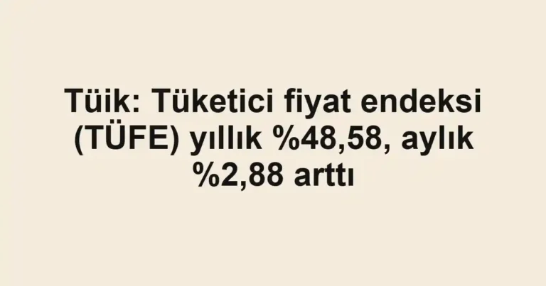 Tüik: Tüketici fiyat endeksi (TÜFE) yıllık ,58, aylık %2,88 arttı