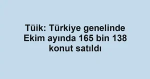 Tüik: Türkiye genelinde Ekim ayında 165 bin 138 konut satıldı