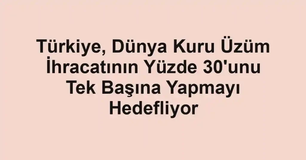 Türkiye, Dünya Kuru Üzüm İhracatının Yüzde 30'unu Tek Başına Yapmayı Hedefliyor