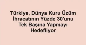 Türkiye, Dünya Kuru Üzüm İhracatının Yüzde 30'unu Tek Başına Yapmayı Hedefliyor