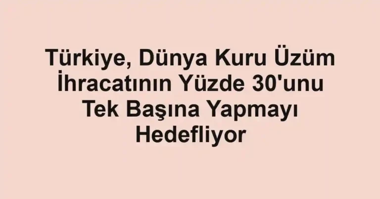 Türkiye, Dünya Kuru Üzüm İhracatının Yüzde 30'unu Tek Başına Yapmayı Hedefliyor