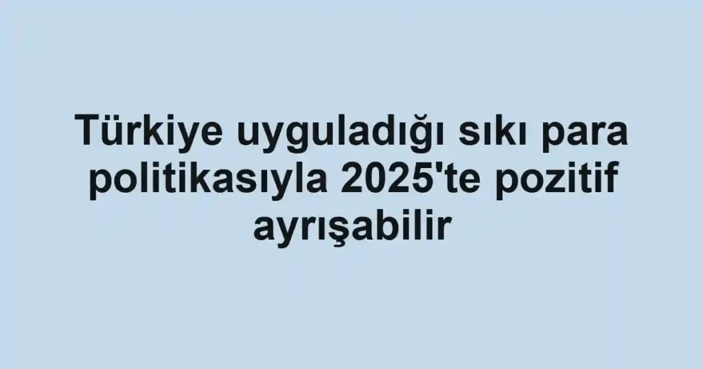 Türkiye uyguladığı sıkı para politikasıyla 2025'te pozitif ayrışabilir