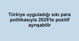 Türkiye uyguladığı sıkı para politikasıyla 2025'te pozitif ayrışabilir