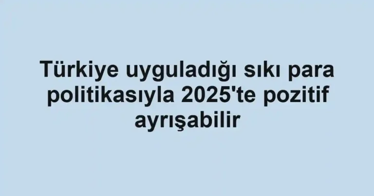 Türkiye uyguladığı sıkı para politikasıyla 2025'te pozitif ayrışabilir