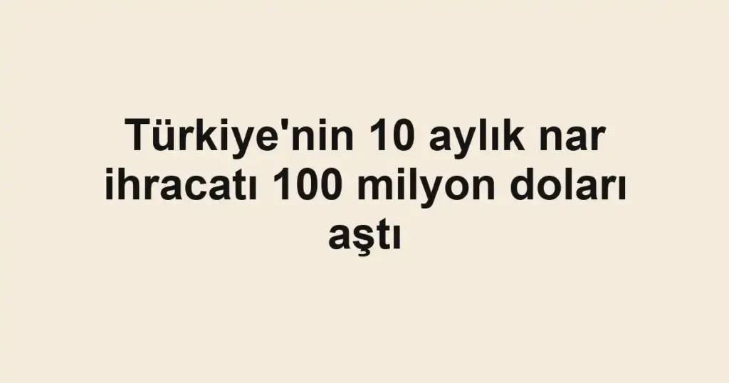 Türkiye'nin 10 aylık nar ihracatı 100 milyon doları aştı