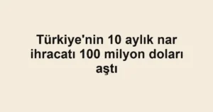 Türkiye'nin 10 aylık nar ihracatı 100 milyon doları aştı