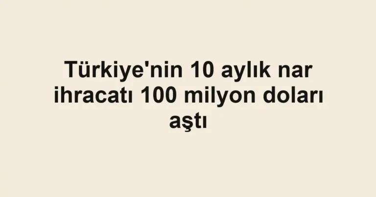 Türkiye'nin 10 aylık nar ihracatı 100 milyon doları aştı