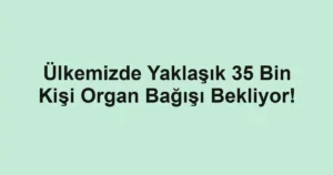 Ülkemizde Yaklaşık 35 Bin Kişi Organ Bağışı Bekliyor!