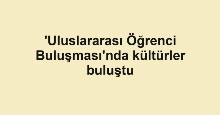 'Uluslararası Öğrenci Buluşması'nda kültürler buluştu