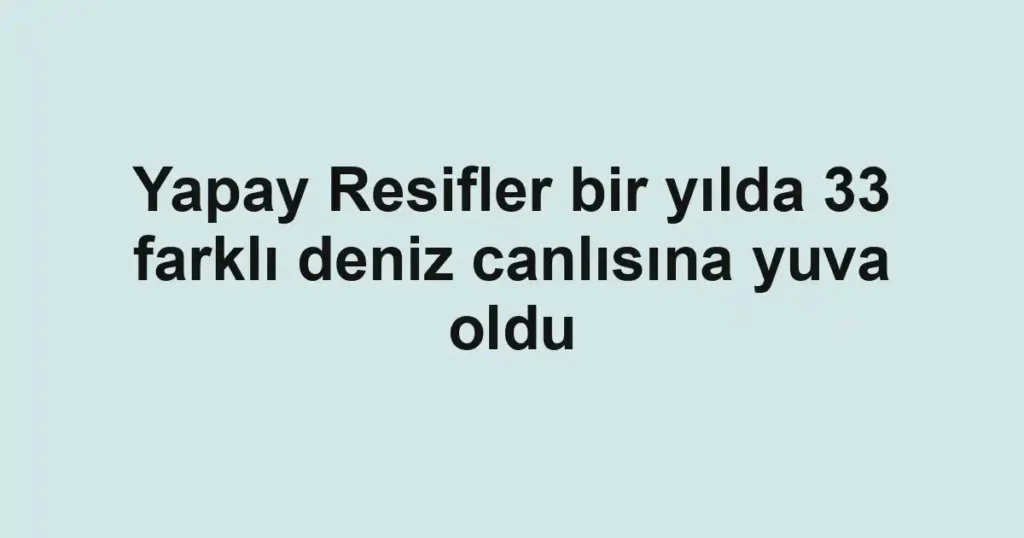 Yapay Resifler bir yılda 33 farklı deniz canlısına yuva oldu