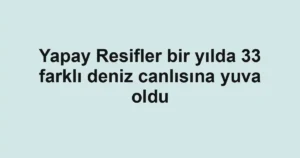 Yapay Resifler bir yılda 33 farklı deniz canlısına yuva oldu