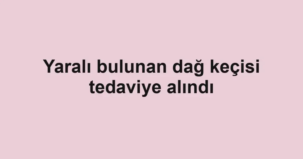 Yaralı bulunan dağ keçisi tedaviye alındı