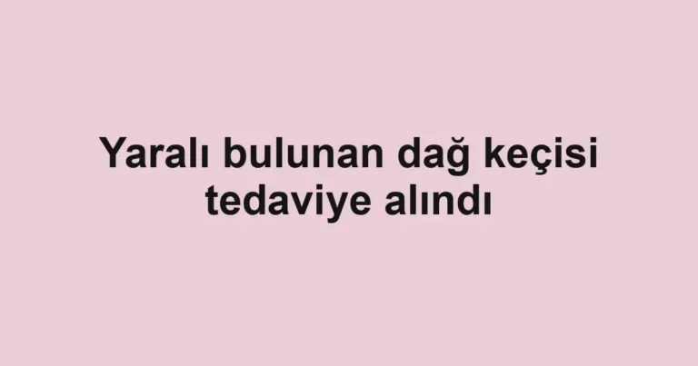 Yaralı bulunan dağ keçisi tedaviye alındı